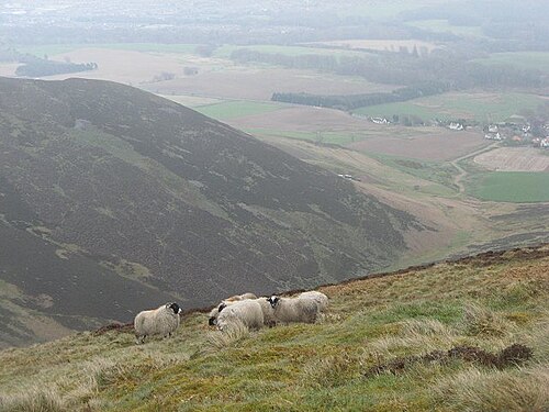 Silverburn Valley - Medieval Heritage Site on the Isle of Man